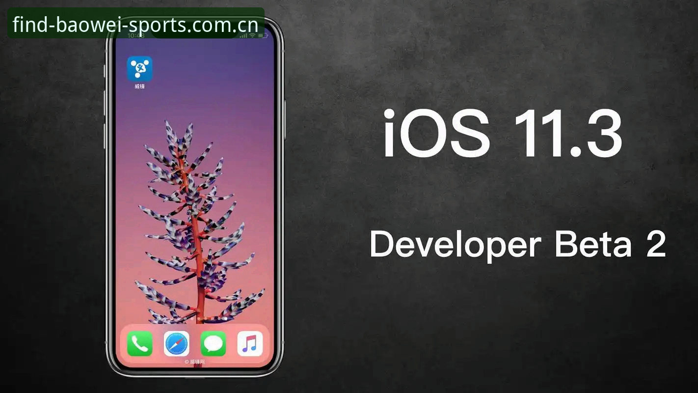 宝威体育迷路怎么办iOS版 揭秘宝威体育迷路怎么办iOS版:老用户亲测有效的3个找路技巧